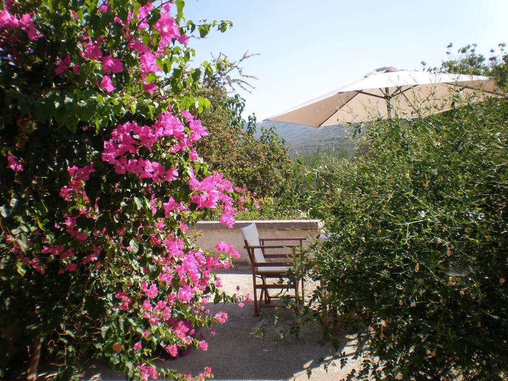 Villa Ouranos Kíssamos Dış mekan fotoğraf